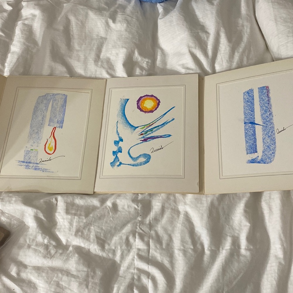 3matted folders ,art paintings are in excellent shape. The covers have some wear